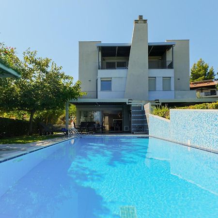 Deluxe Chrousso Pool Villa Paliouri Exterior photo